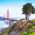 The Golden Gate Bridge, San Francisco